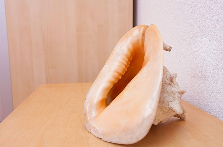 Appartement Wohnung "Slavija" mit Whirlpool