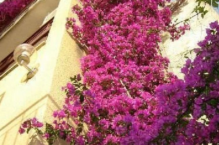 Appartement "Levant Ventus Makarska"