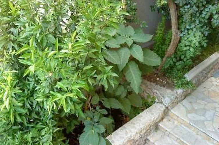 Appartement "Levant Ventus Makarska"