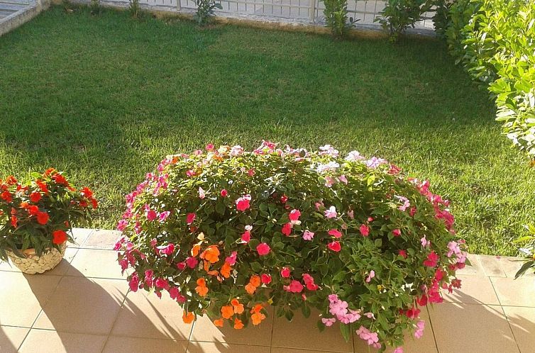 Appartement Strandnahe Wohnung mit großer Terrasse