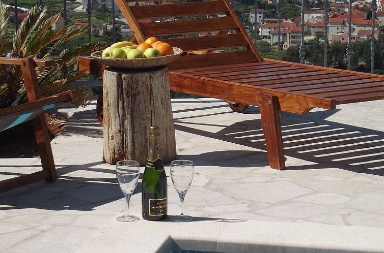 Vakantiehuis "Villa Petar" mit Infinity Pool