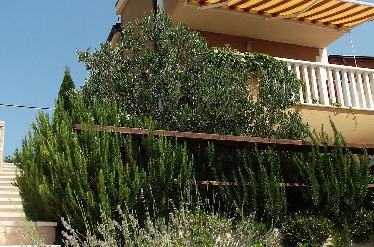 Vakantiehuis "Villa Petar" mit Infinity Pool