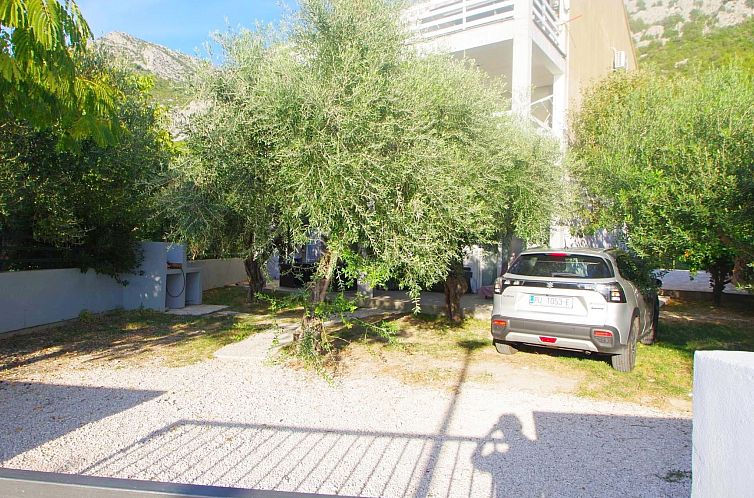 Appartement am Strand