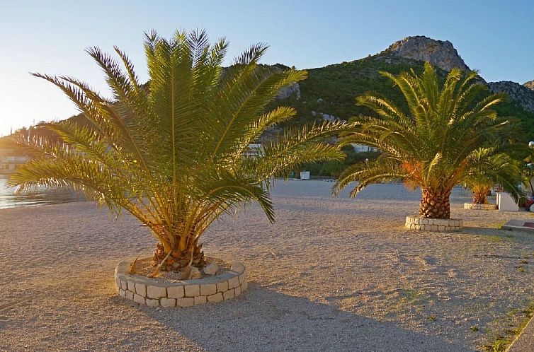 Appartement am Strand