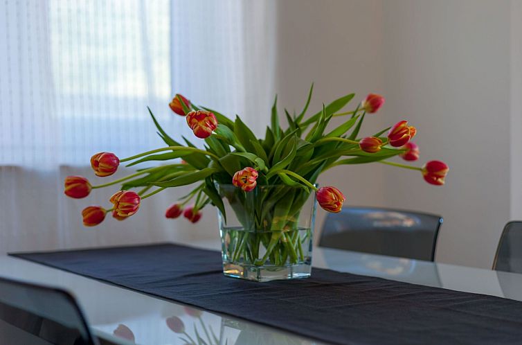 Appartement für 4 Personen ca. 46 m&sup2; in Podstrana, Dal