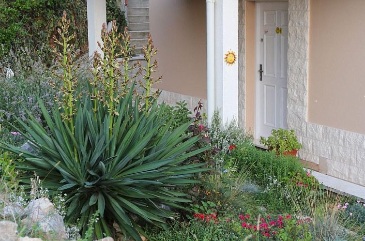 Appartement mit Terrasse und herrlichem Ausblick