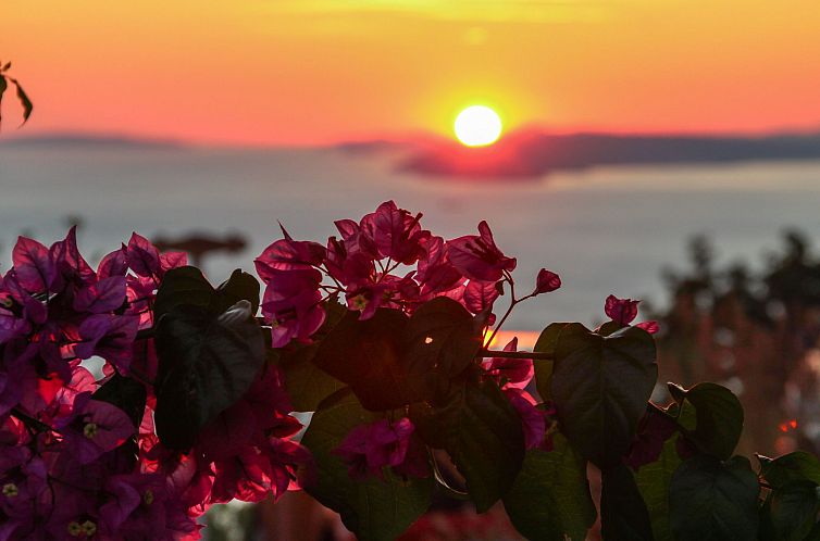 Vakantiehuis Ferienvilla mit Pool und Blick auf das Adriatis