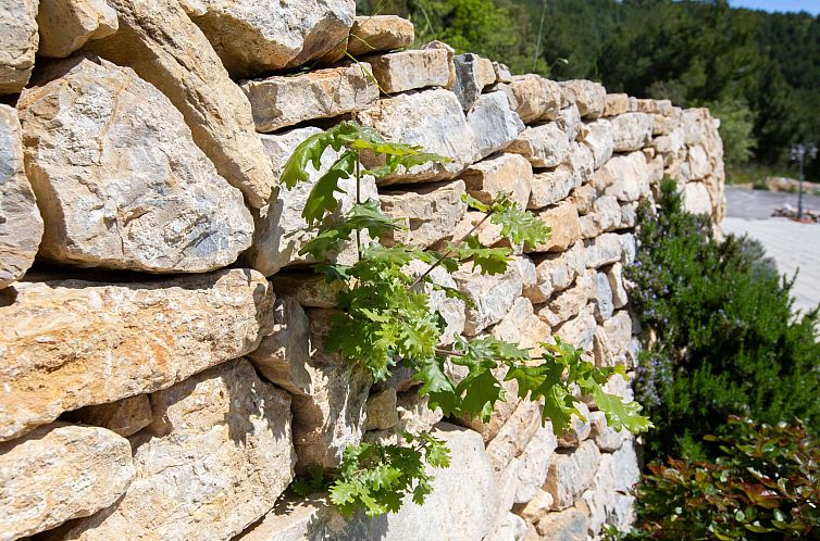 Appartement Villa Royal A1