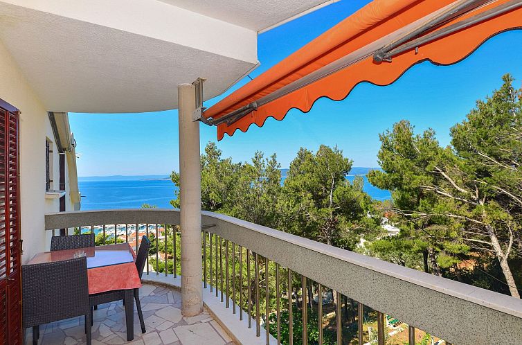 Unterkunft 1032924 - Appartement Dalmatien - Appartement Gemütliche Ferienwohnung mit beheiztem Pool