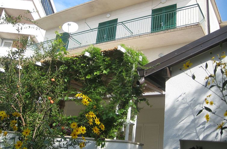 Guest house 1033007 - Apartment Dalmatia - Appartement Apartman Sulic