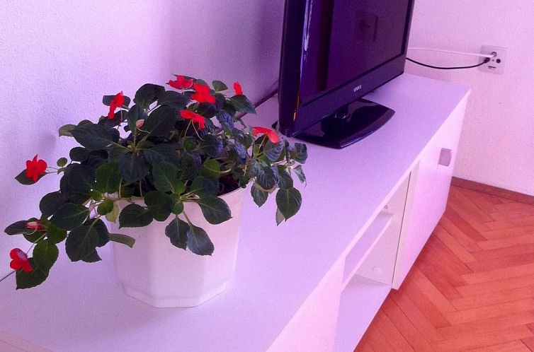 Appartement "Slaven" mit Blick auf das Wasser