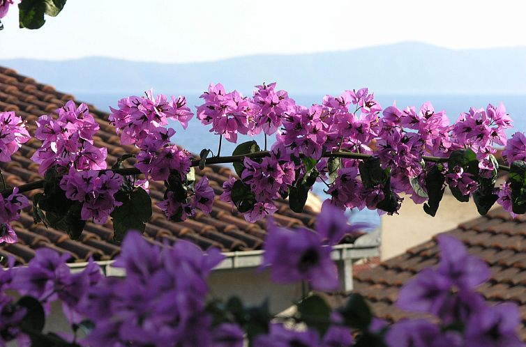 Appartement Wohnung direkt am Strand
