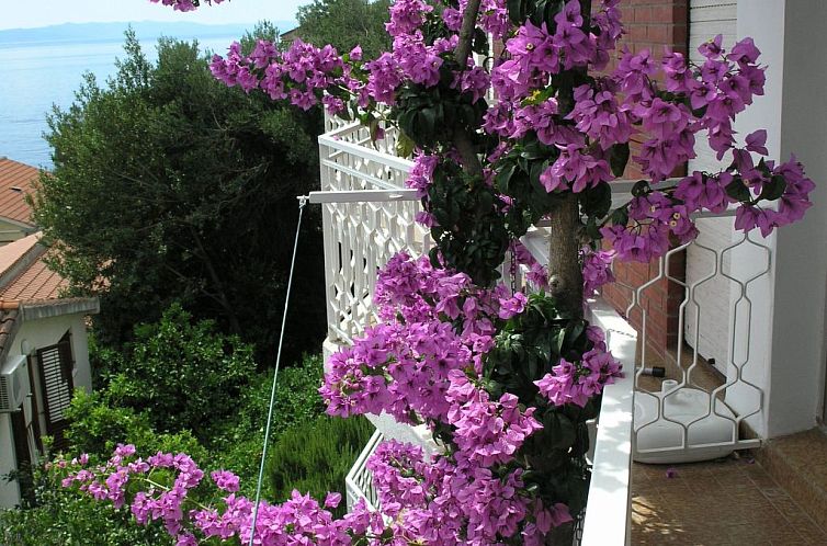 Appartement "Dobrila" direkt am Strand
