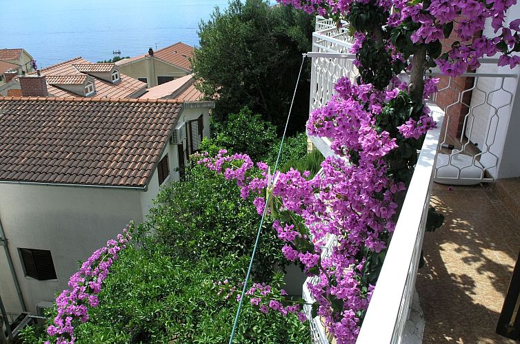 Appartement Wohnung "Dobrila" direkt am Strand