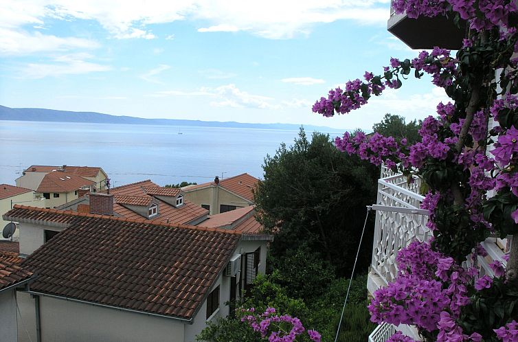 Appartement Wohnung "Dobrila" direkt am Strand