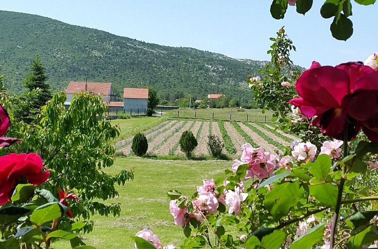 Vakantiehuis Villa Almas mit Schwimmbad, Fitnessraum, Tennis