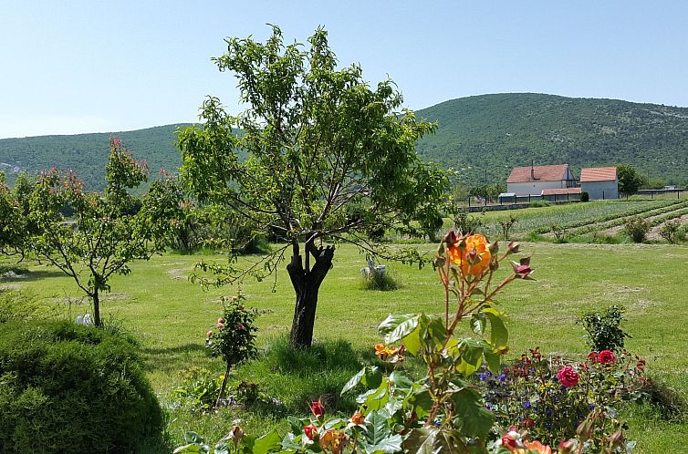 Vakantiehuis Villa Almas mit Schwimmbad, Fitnessraum, Tennis