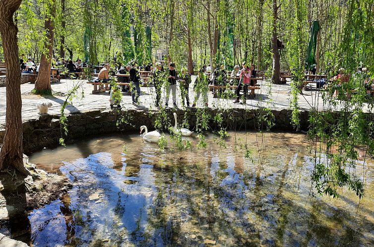 Appartement Andriana