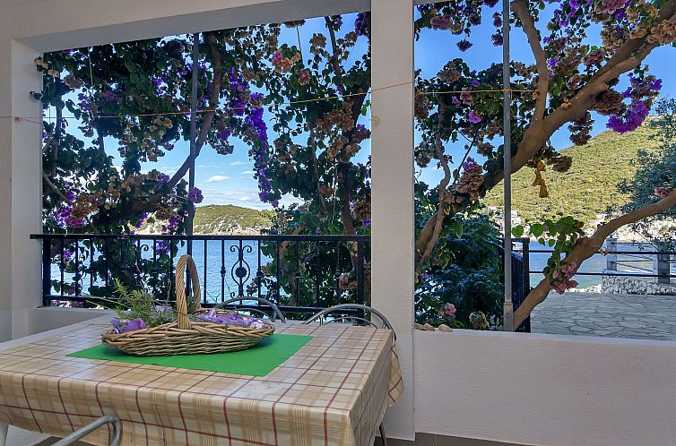 Verblijf 10334306 - Appartement Dalmatie - Appartement Rubin