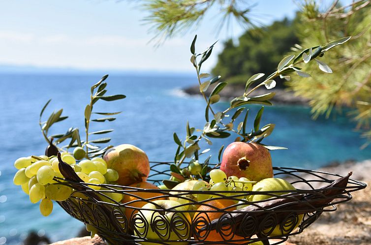 Vakantiehuis Villa Golubinka