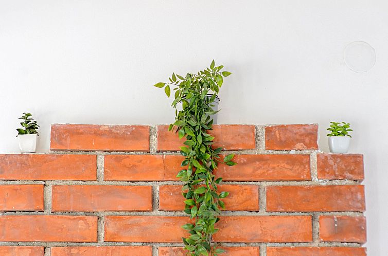 Appartement "Appartement Nr. 5".