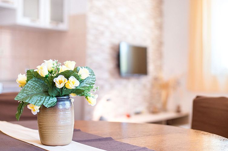 Appartement Apartments Marina 1 4+1