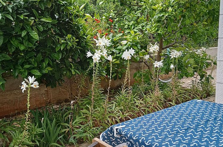 Appartement Wohnung mit Balkon