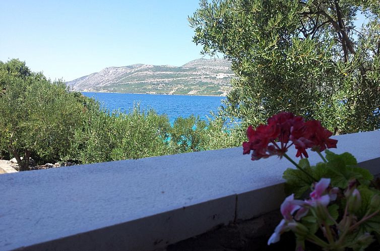Unterkunft 10337125 - Appartement Dalmatien - Appartement mit Blick auf das Wasser