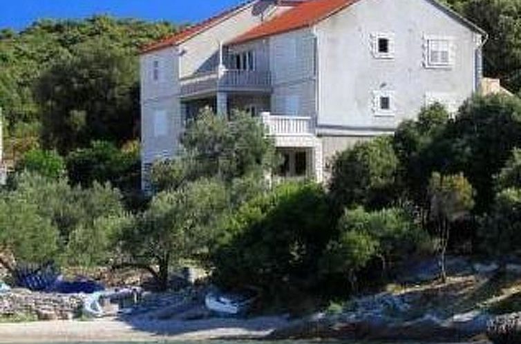 Unterkunft 10337126 - Appartement Dalmatien - Appartement Wohnung mit Blick auf das Wasser