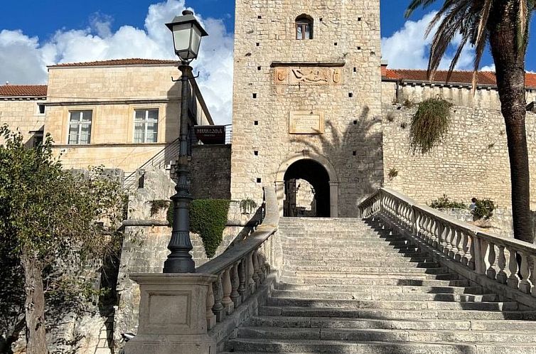 Unterkunft 10337128 - Appartement Dalmatien - Appartement Stadtzentrum Pelavin Mir