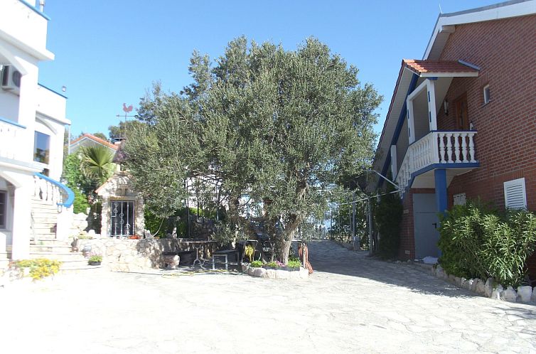 Appartement für sechs Personen mit Terrasse im Erdgeschoss 