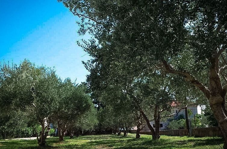 Vakantiehuis Modernes Ferienhaus in Dobropoljana mit Terrass