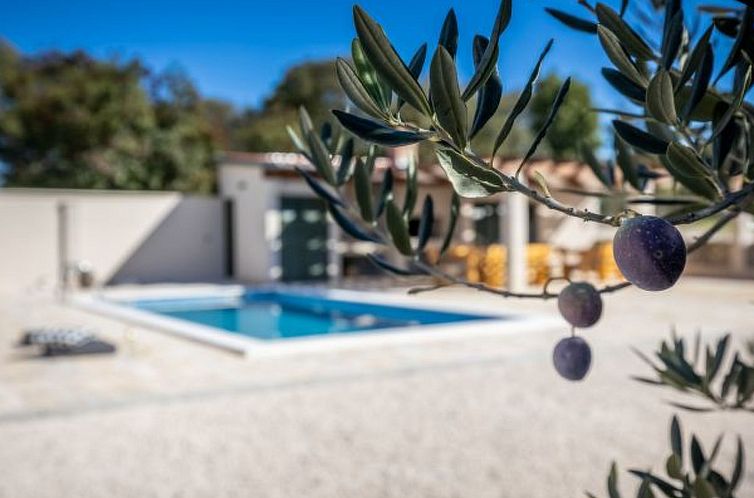 Vakantiehuis Villa Oliveto with pool