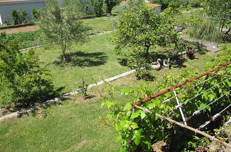 Appartement Katić