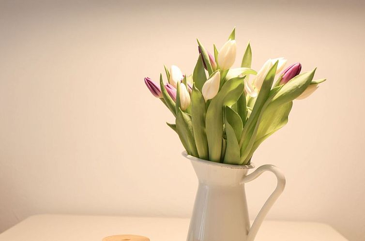 Appartement Wohnung "Siesta" direkt am Strand