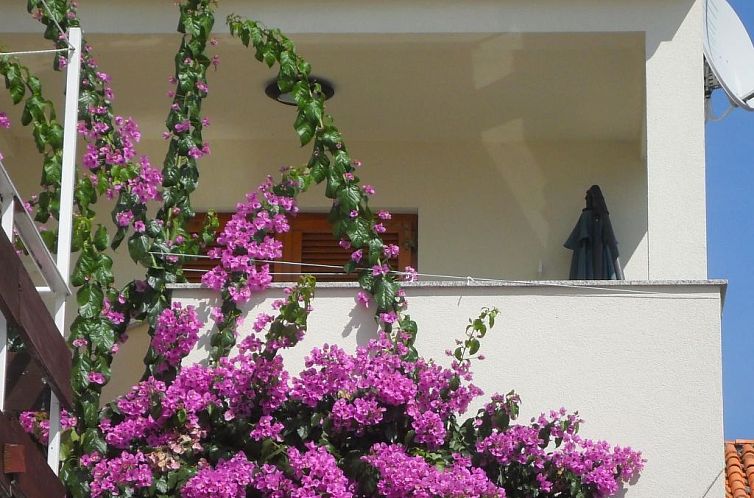 Appartement Große Ferienwohnung in Zadar mit Privatem Balko
