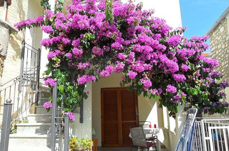 Appartement im Erdgeschoss mit Panorama-Blick