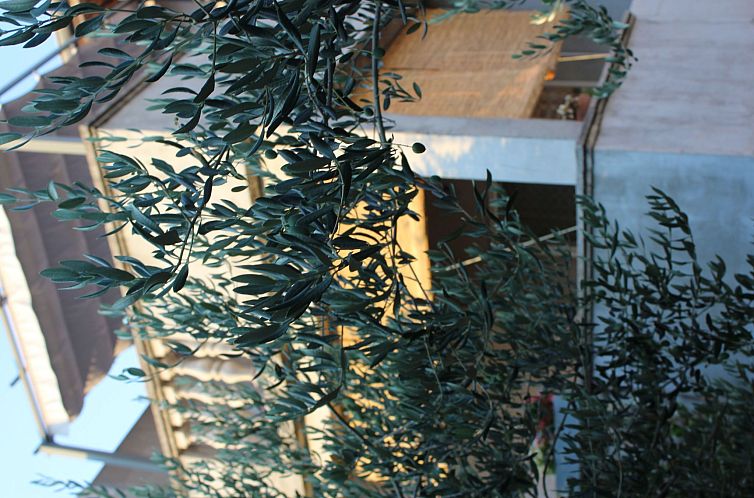 Appartement Ruhiges Appartement mit Terrasse in Strandnähe
