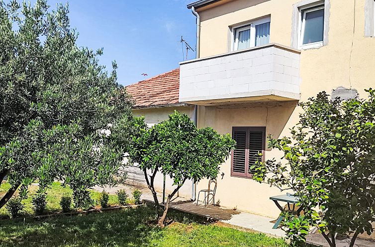 Appartement Frlea