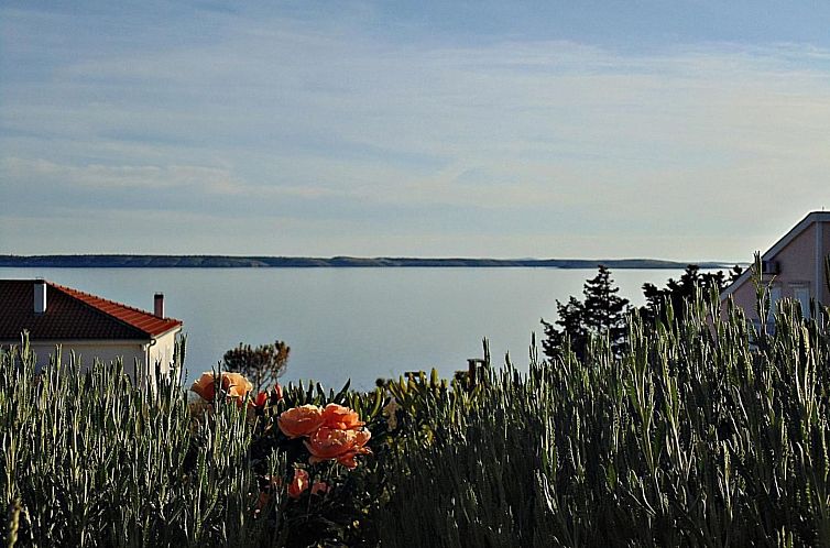 Vakantiehuis am Meer
