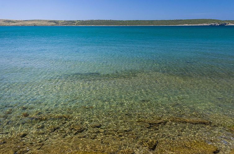 Appartement "Appartement A3" direkt am Strand