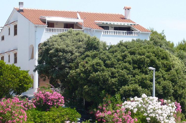 Appartement Gemütliche Ferienwohnung für drei Personen