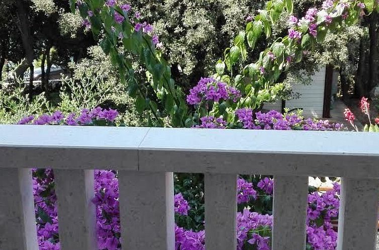 Appartement Gemütliche Ferienwohnung für drei Personen