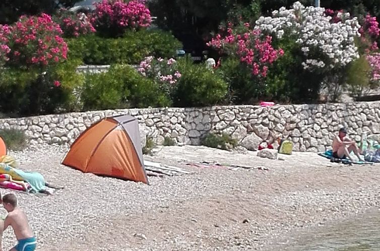 Unterkunft 10344703 - Appartement Dalmatien - Appartement Erdgeschosswohnung Mia für vier Personen