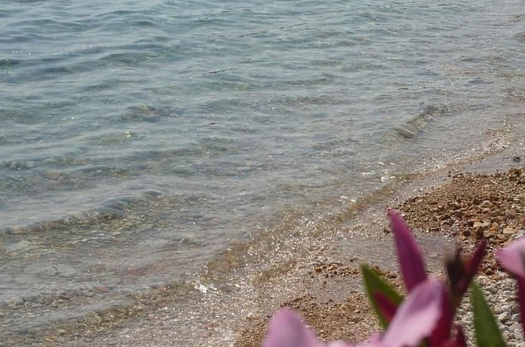 Appartement Erdgeschosswohnung Mia für vier Personen