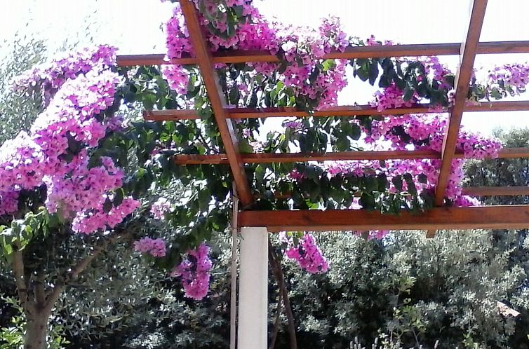 Appartement Erdgeschosswohnung Mia für vier Personen