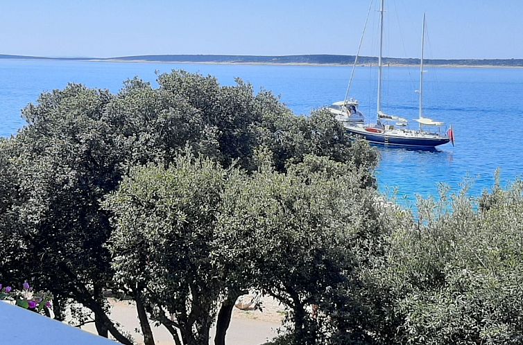 Appartement "Mia" mit Blick auf das Wasser