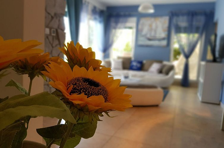 Appartement After All Wohnung mit Pool in Mandre, Pag