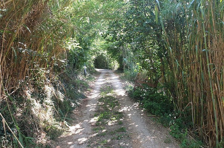 Vakantiehuis Am Fluss gelegenes Haus mit Galerieschlafplätz