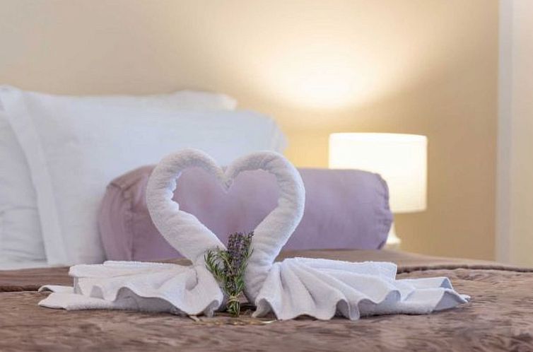 Vakantiehuis Villa First Hill with heated pool